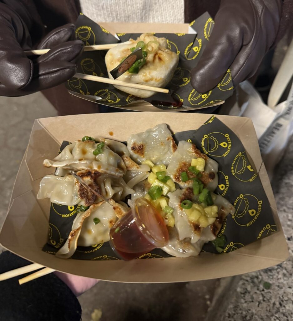 Wontons and dumpling garnished